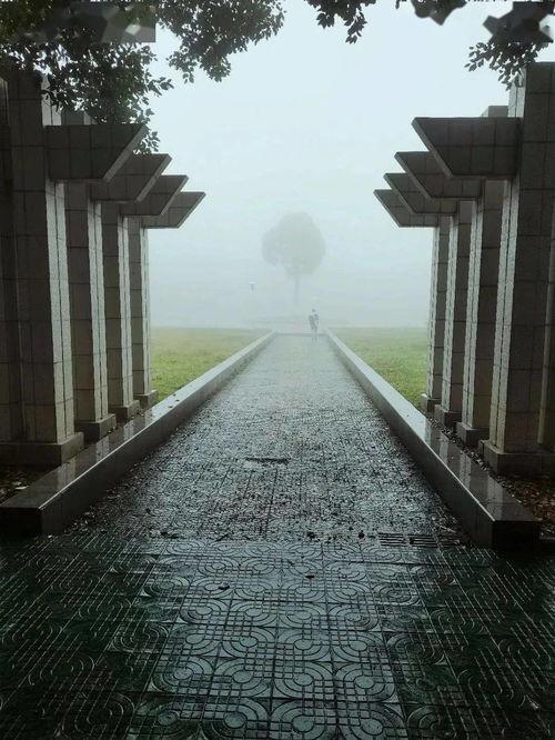 雾色渺渺,探寻朦胧之美