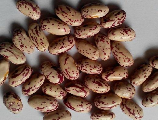 豆豆饭饭,探寻传统美食的独特魅力